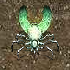 Excited Insects // Game